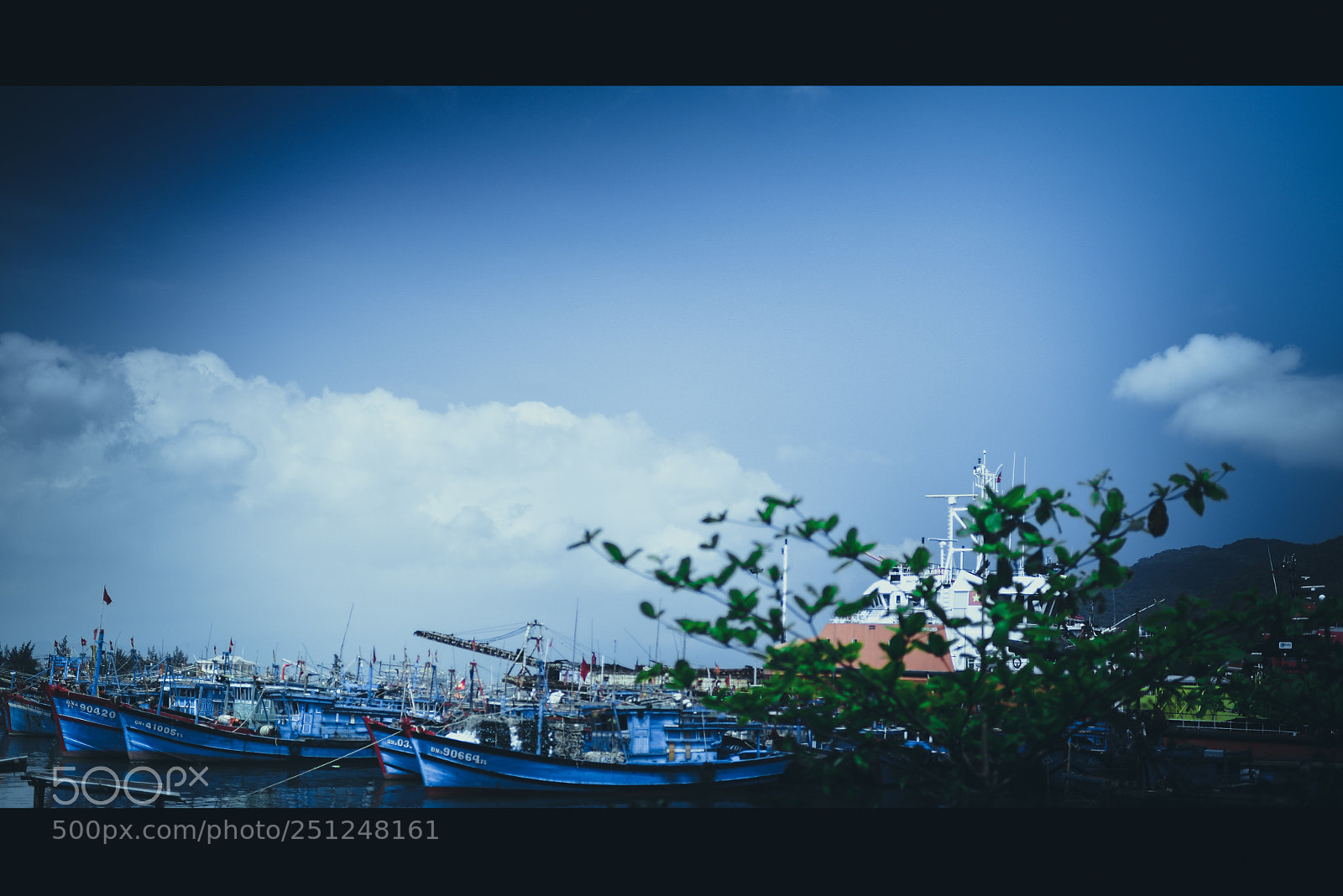 Nikon D610 sample photo. A photography