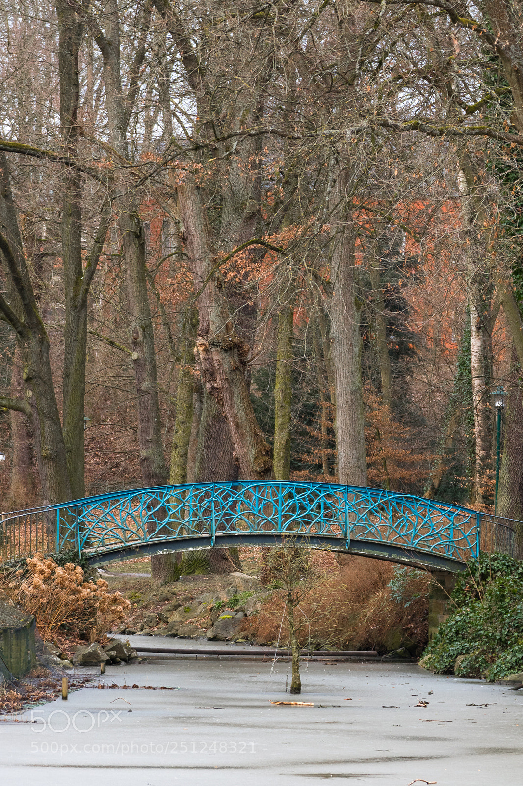 Nikon D5500 sample photo. Bridge ii photography