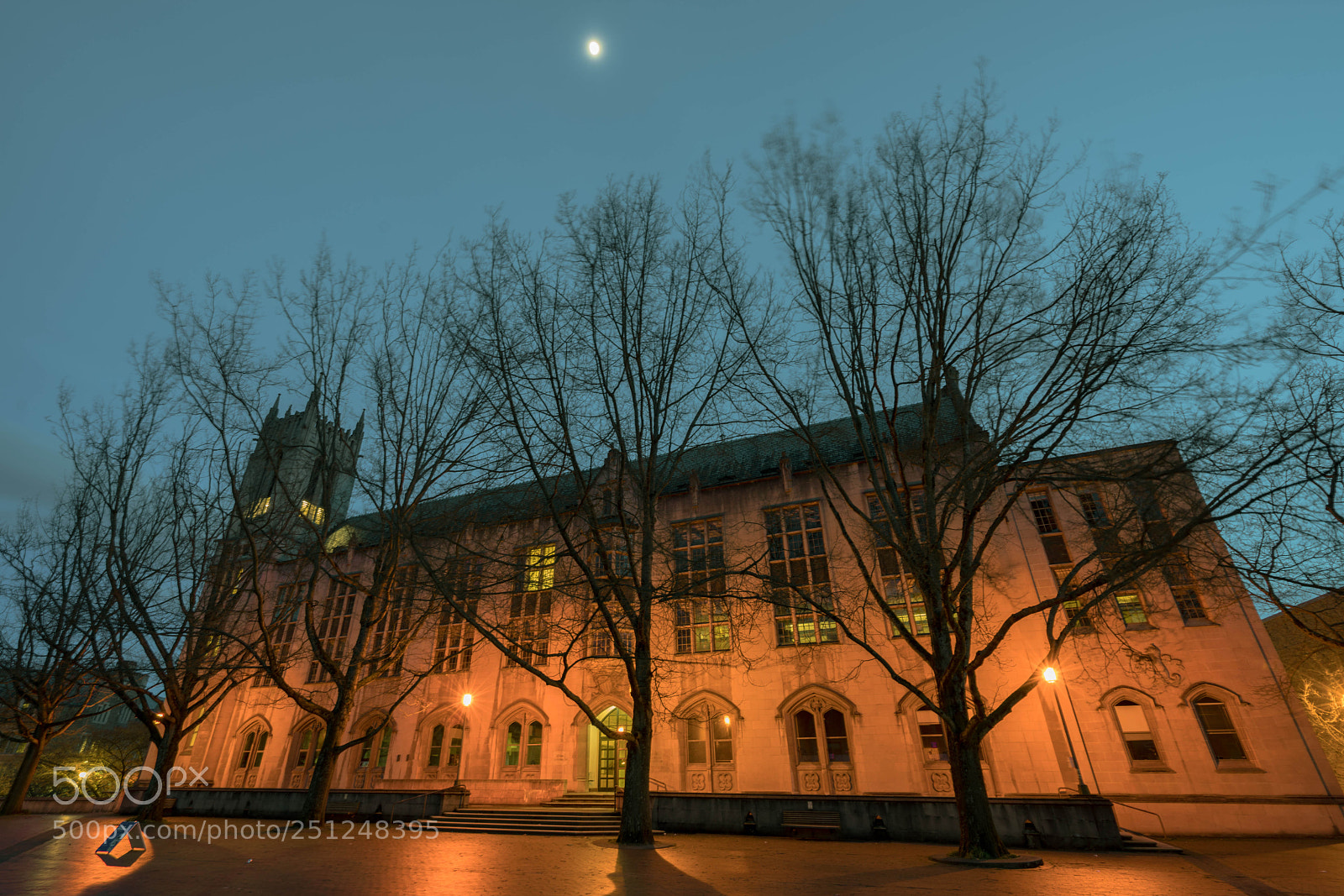 Sony a7R II sample photo. Fearsome photography