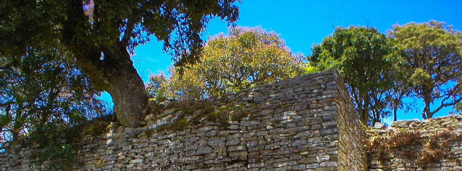 Olympus C120,D380 sample photo. Blue, bleu, azul... photography