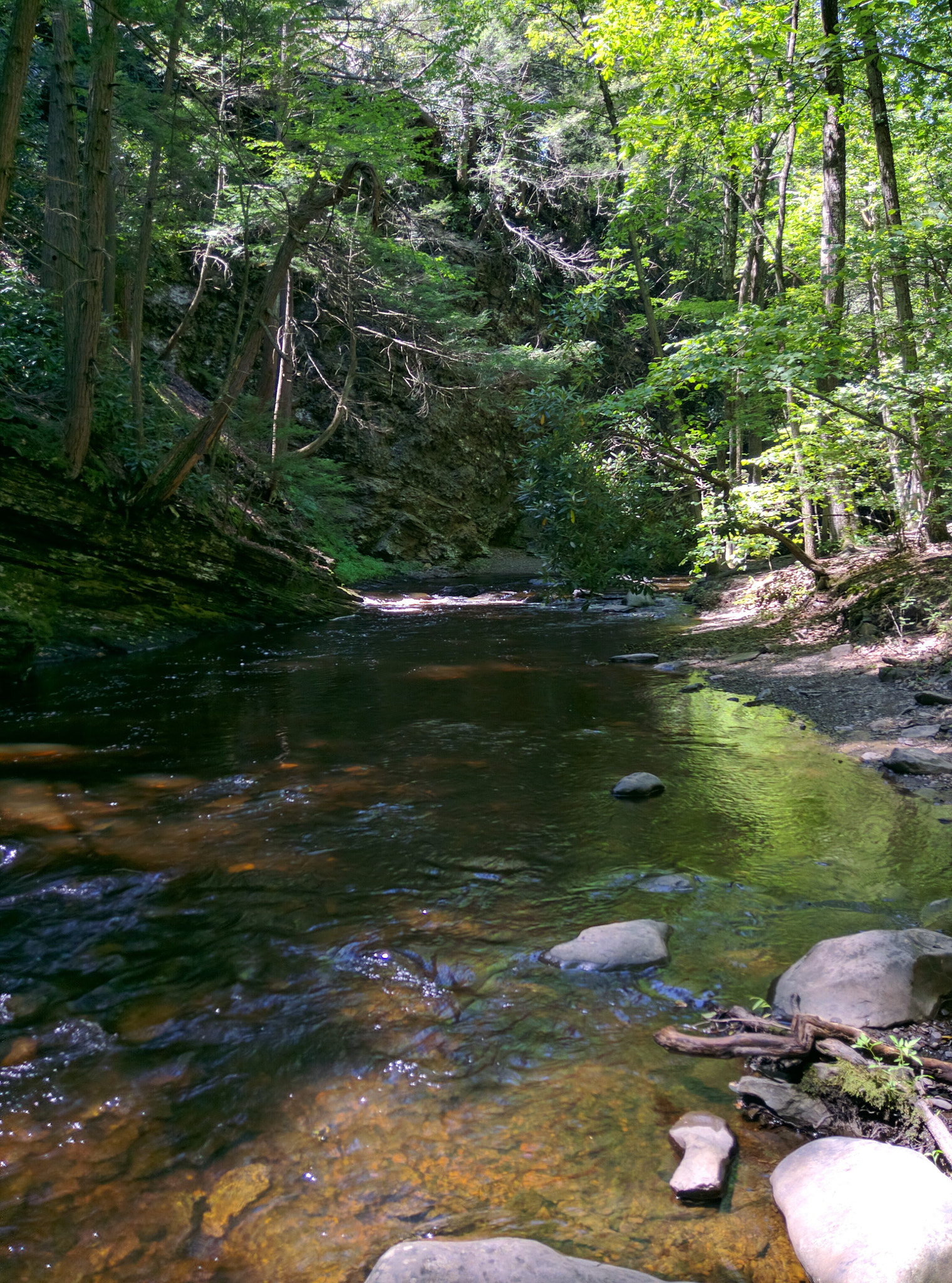 Motorola Nexus 6 sample photo. Calm stream photography