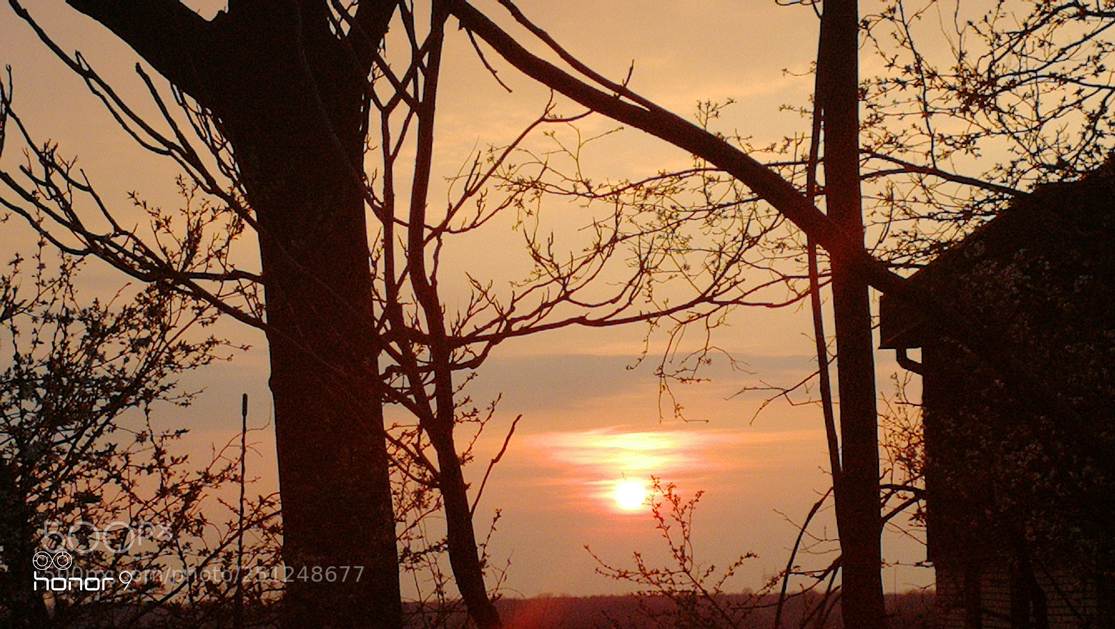 HUAWEI Honor 9 sample photo. Belgrade sunset photography