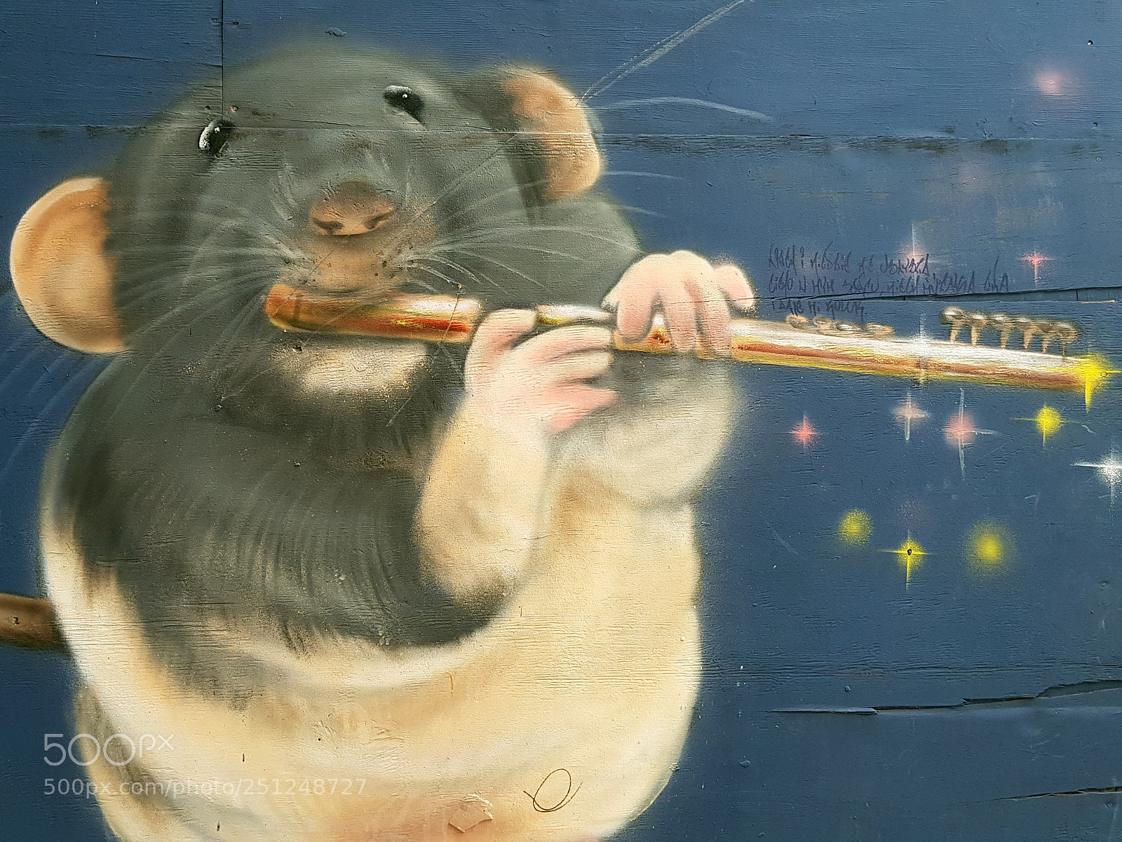 Samsung Galaxy S8 sample photo. Rats photography