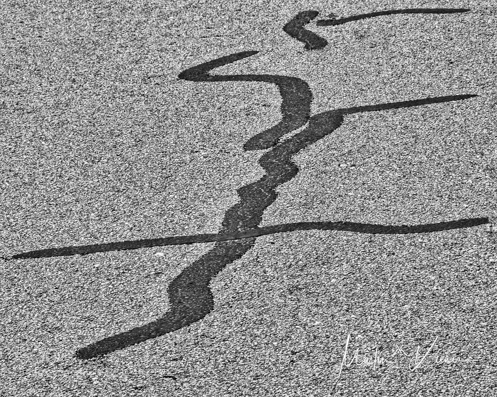 Olympus OM-D E-M1 Mark II sample photo. Secret messages on the photography