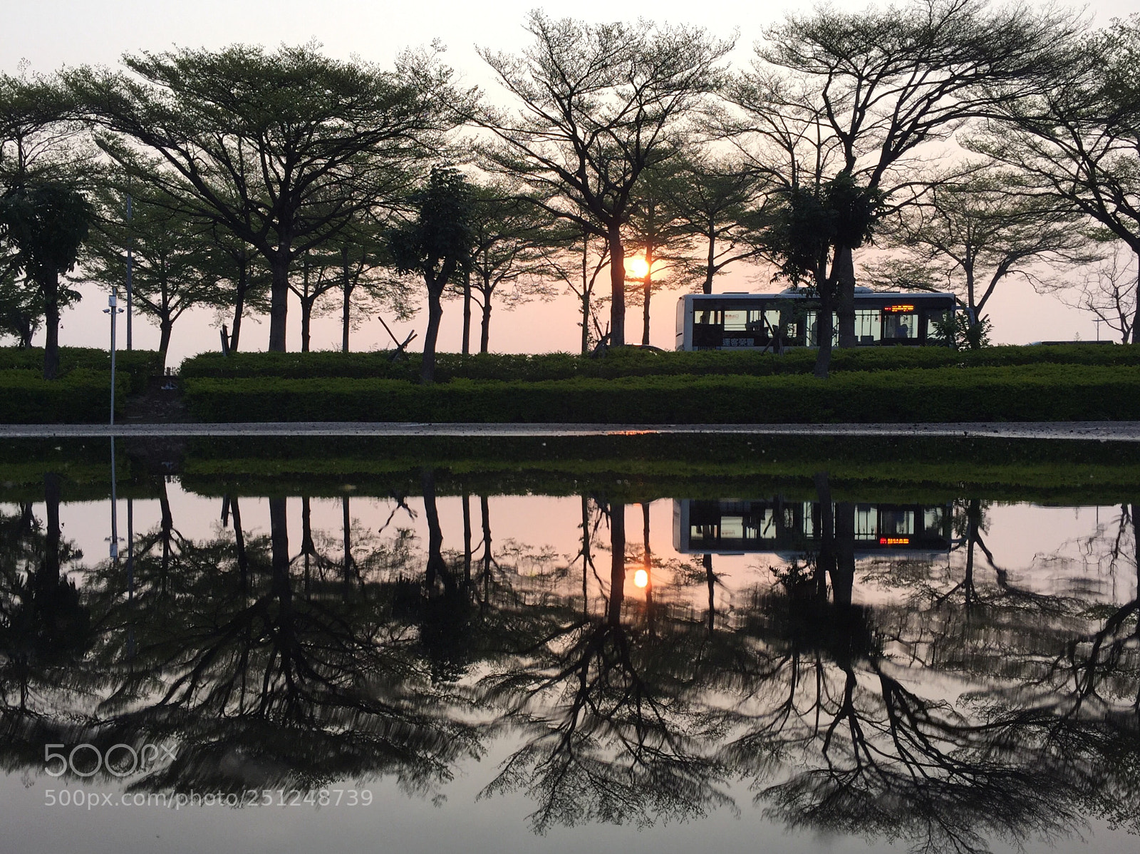 Apple iPhone 6 sample photo. 　early bus photography