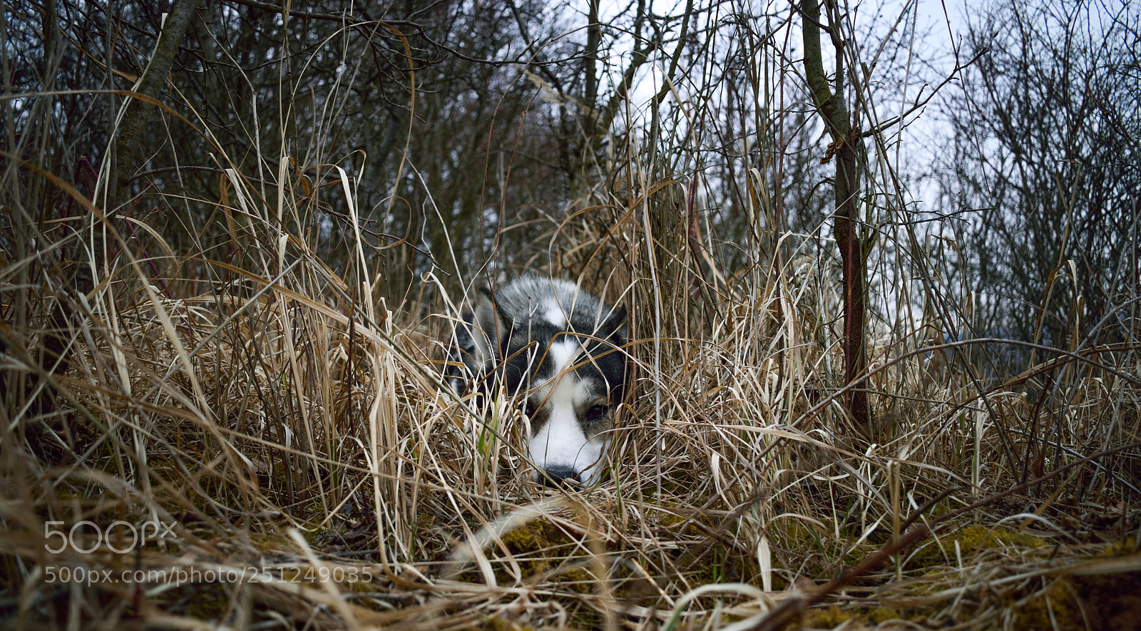 Nikon D5300 sample photo. Untitled photography