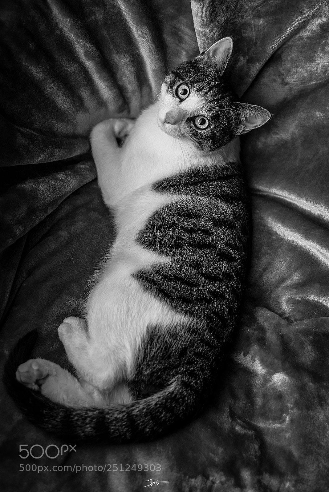 Nikon D810 sample photo. Untitled photography