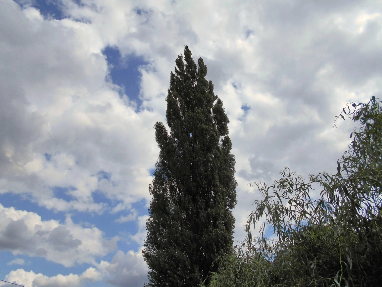 Nikon Coolpix A100 sample photo. Ddce orig photography