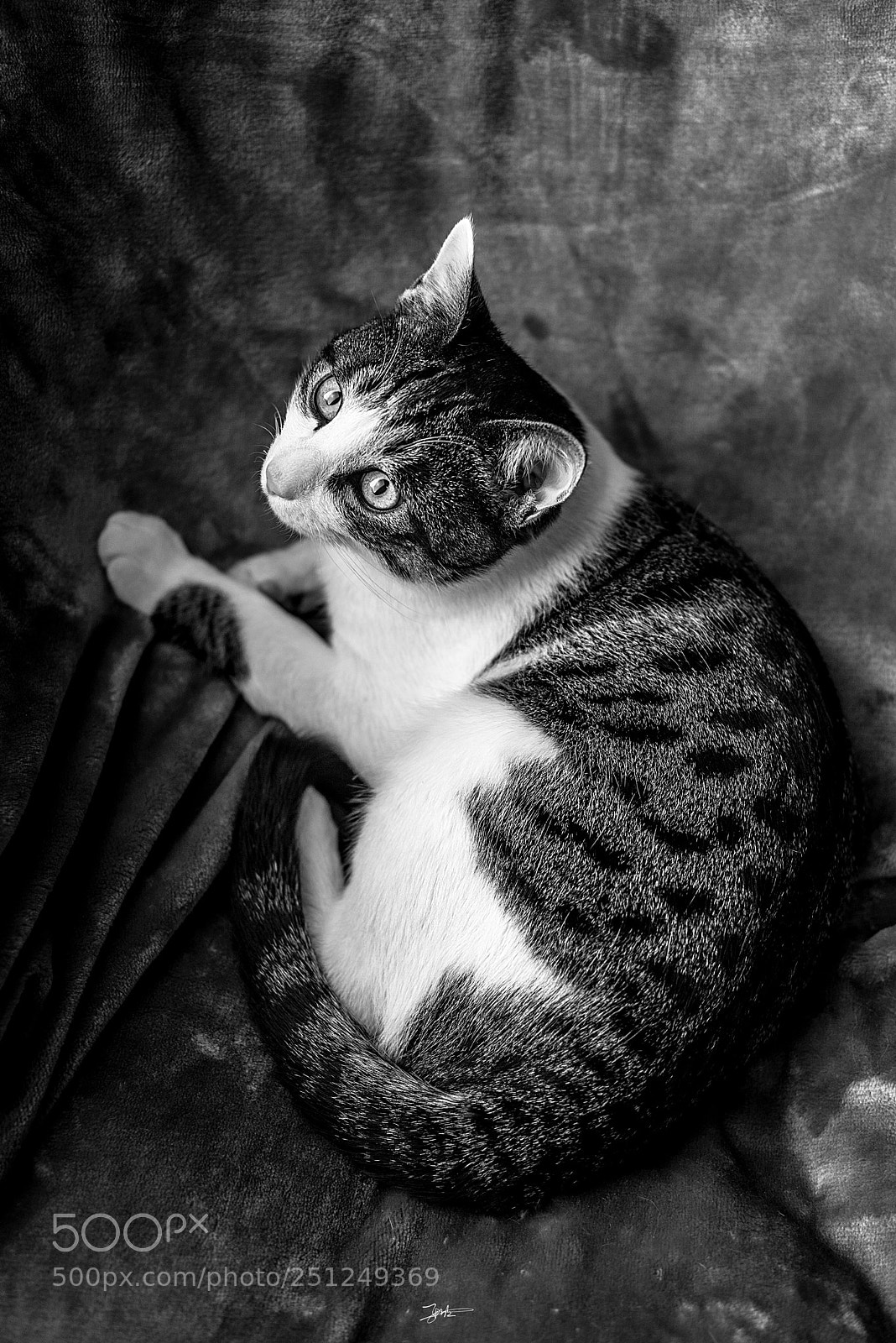 Nikon D810 sample photo. Untitled photography