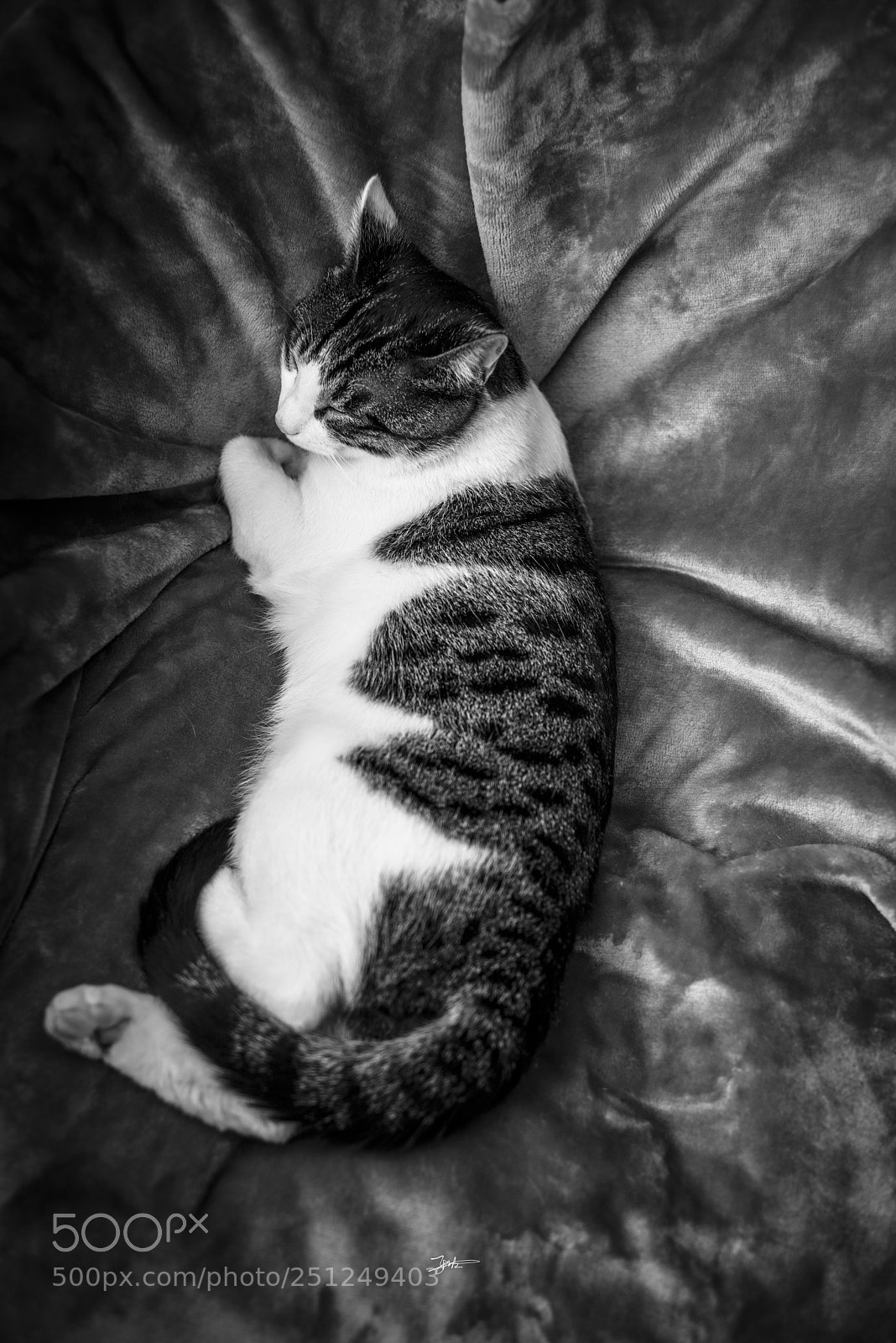 Nikon D810 sample photo. Untitled photography