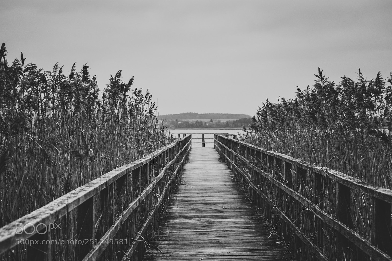 Nikon D5200 sample photo. Walk the way photography