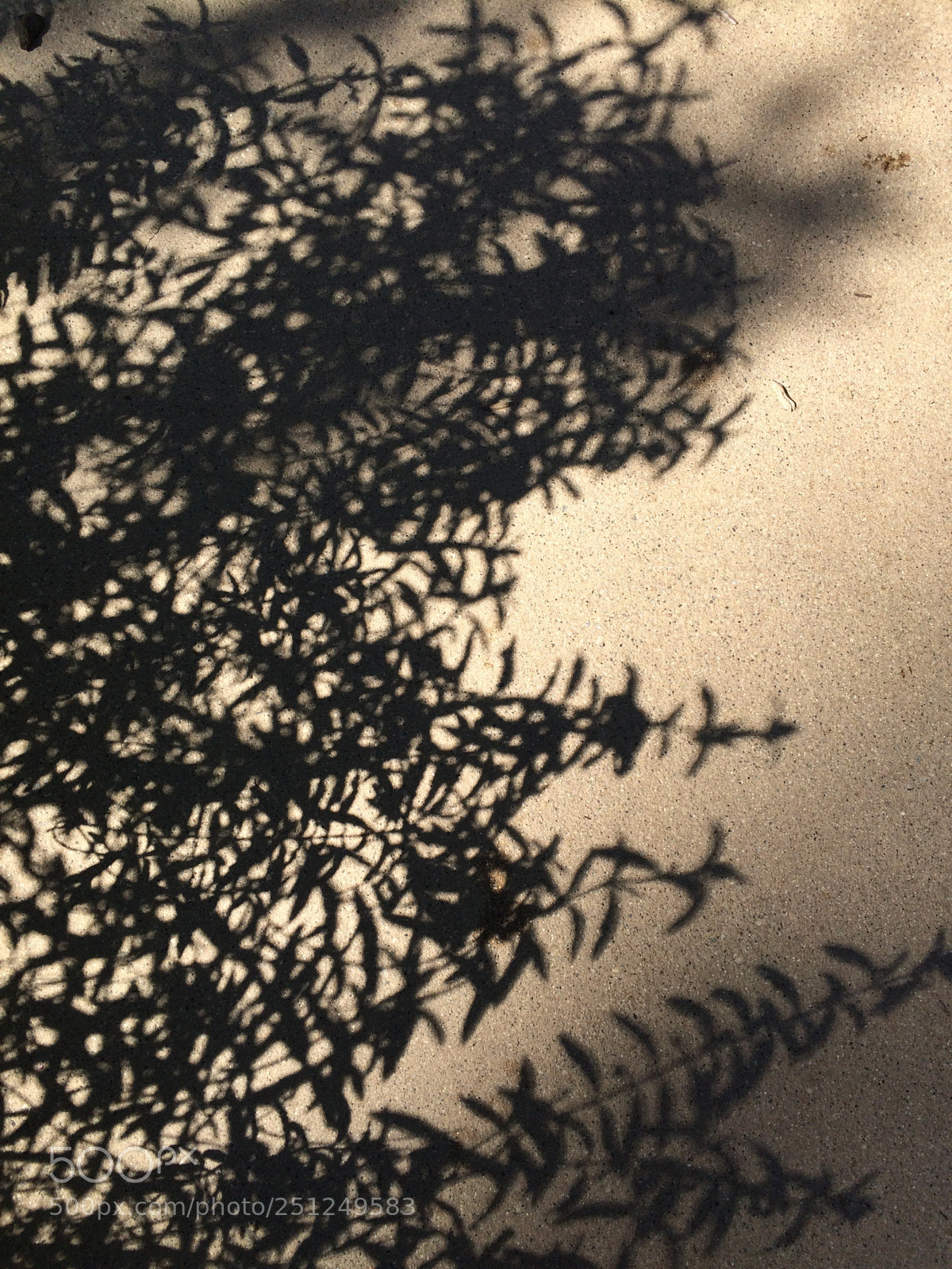Apple iPhone 5s sample photo. Ground herbs photography