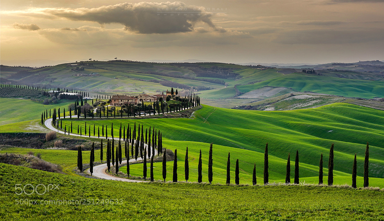 Sony a7 III sample photo. Early spring in tuscany photography
