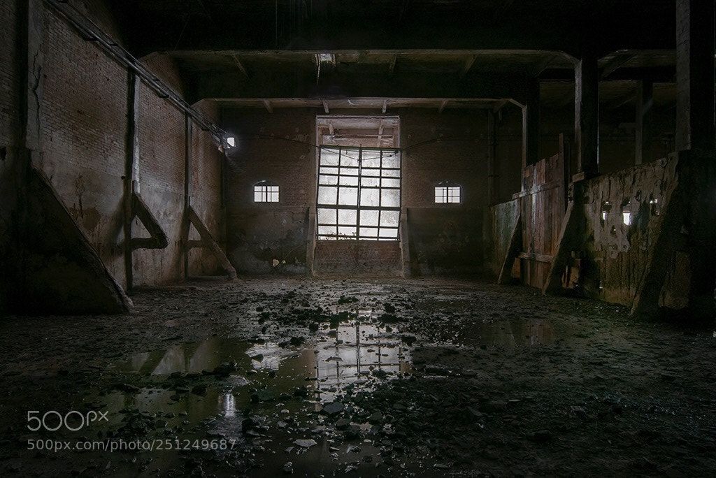 Nikon D300S sample photo. Rivoluzione industriale  photography