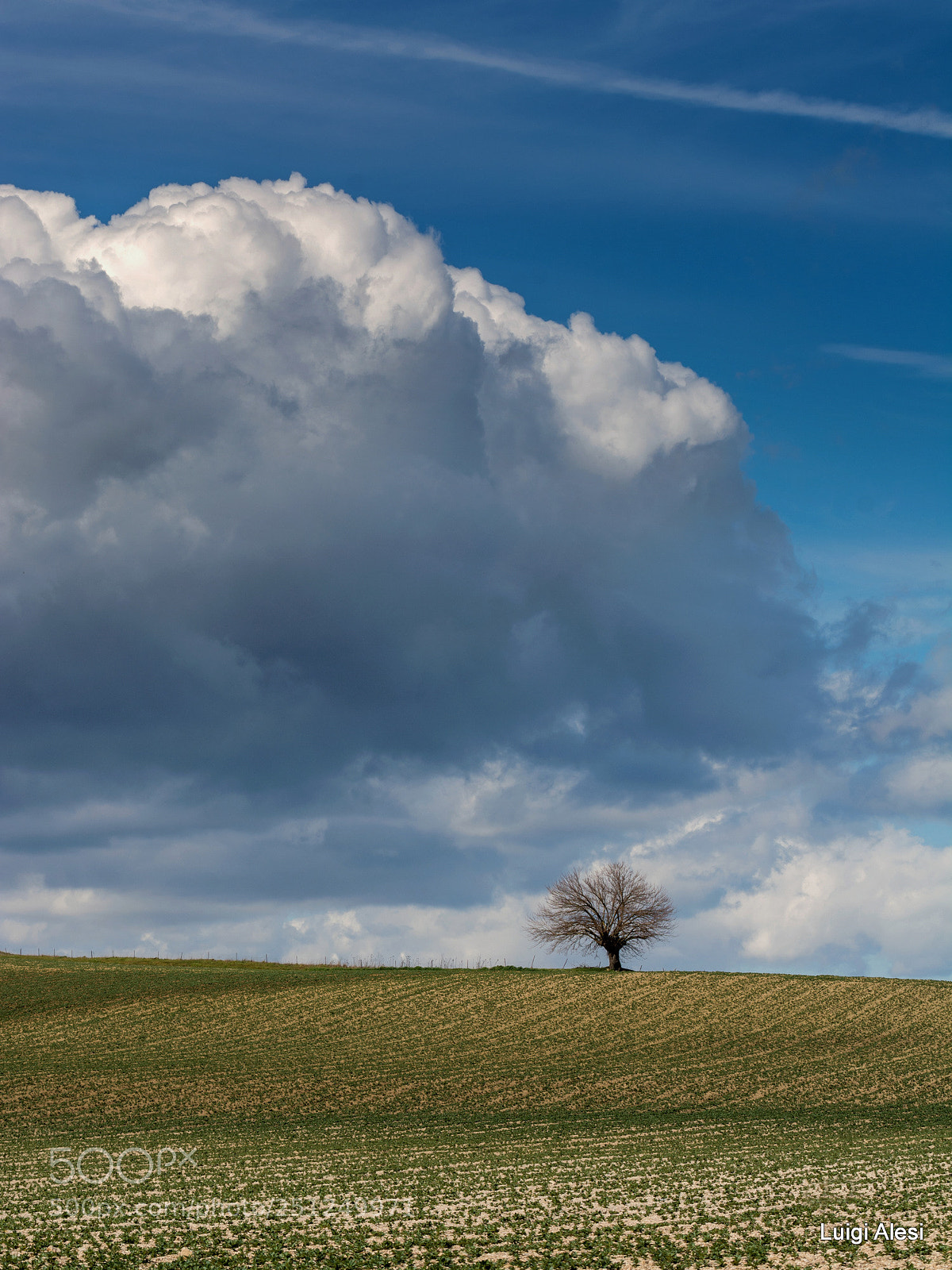 Nikon D7100 sample photo. Marche countryside photography