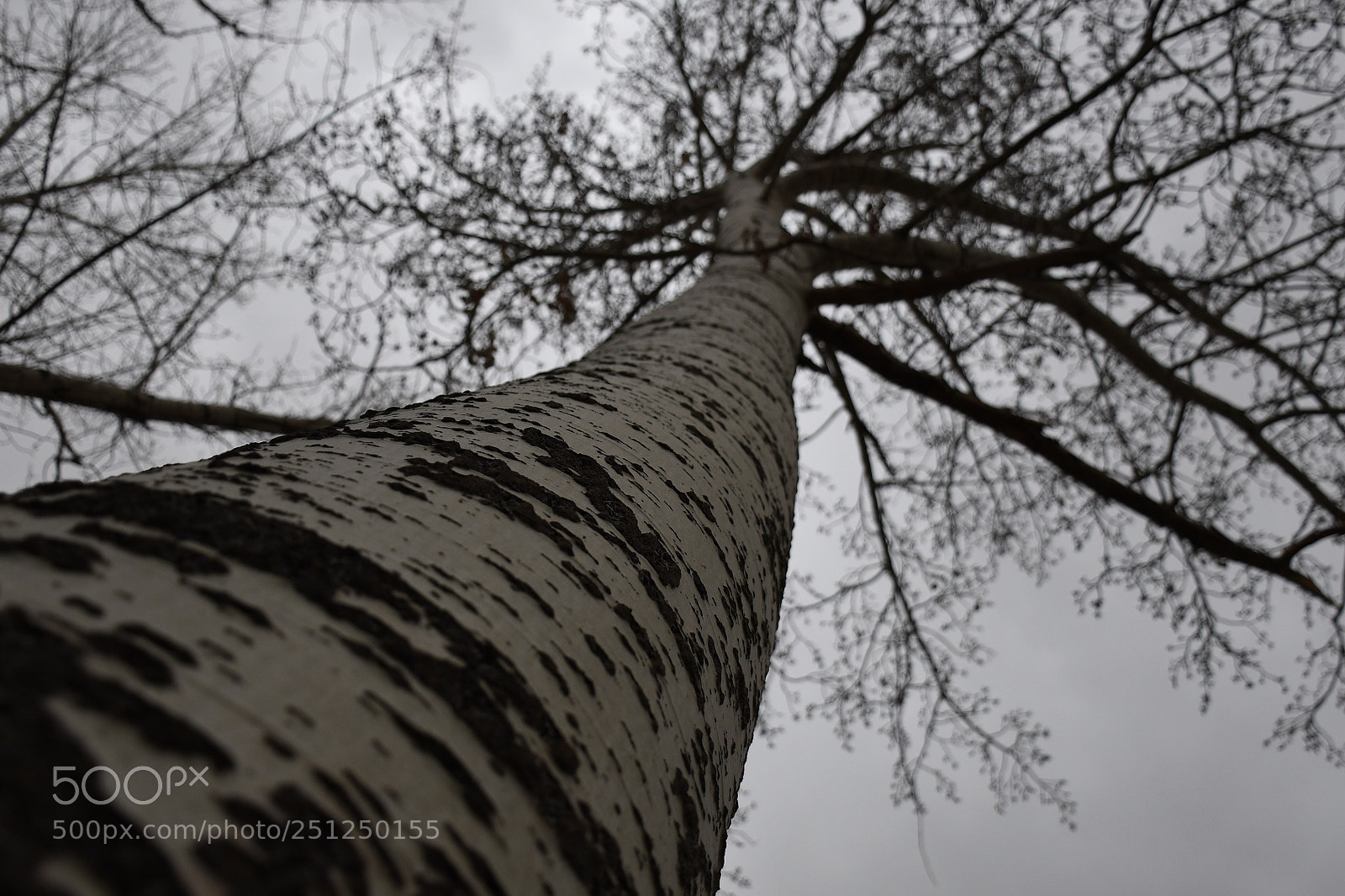 Nikon D7500 sample photo. Untitled photography