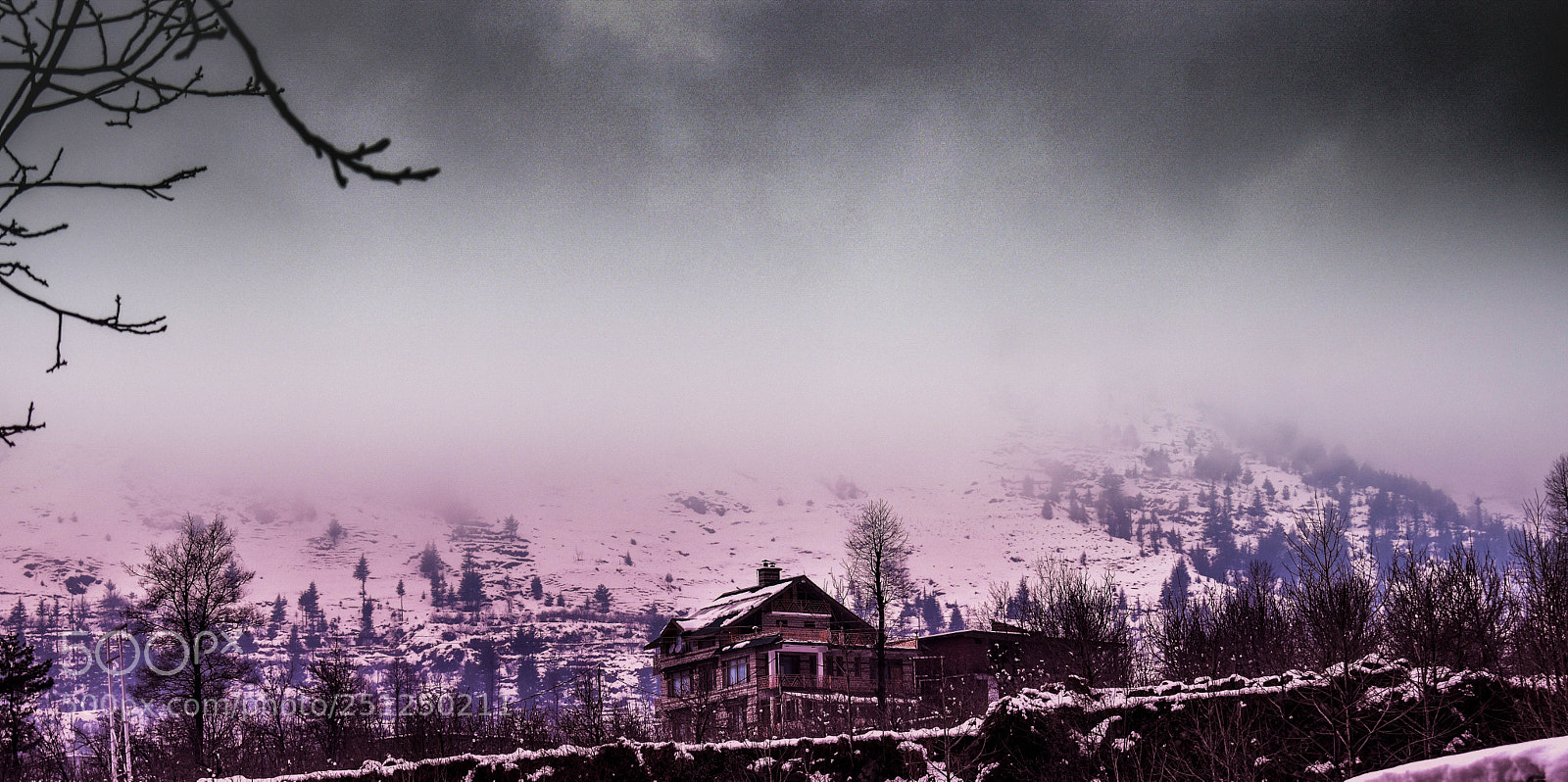 Nikon D5500 sample photo. Solang valley, manali photography