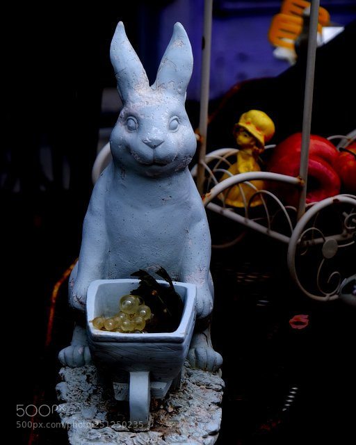 Fujifilm X-T1 sample photo. Dscf photography