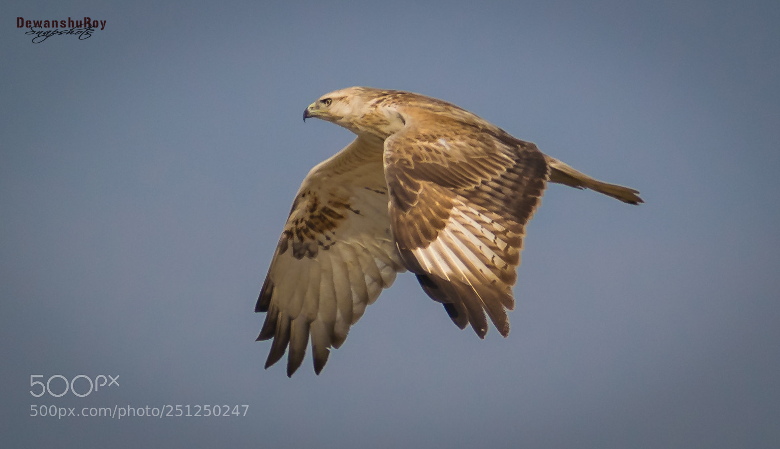 Nikon D3300 sample photo. Dewanshuroy1.jpg photography
