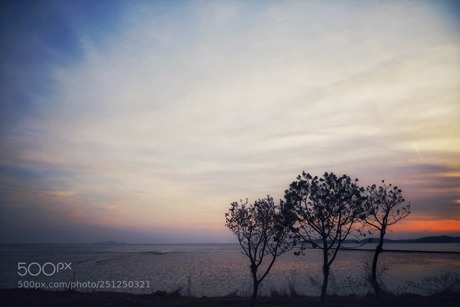 Canon EOS 5D Mark IV sample photo. . photography