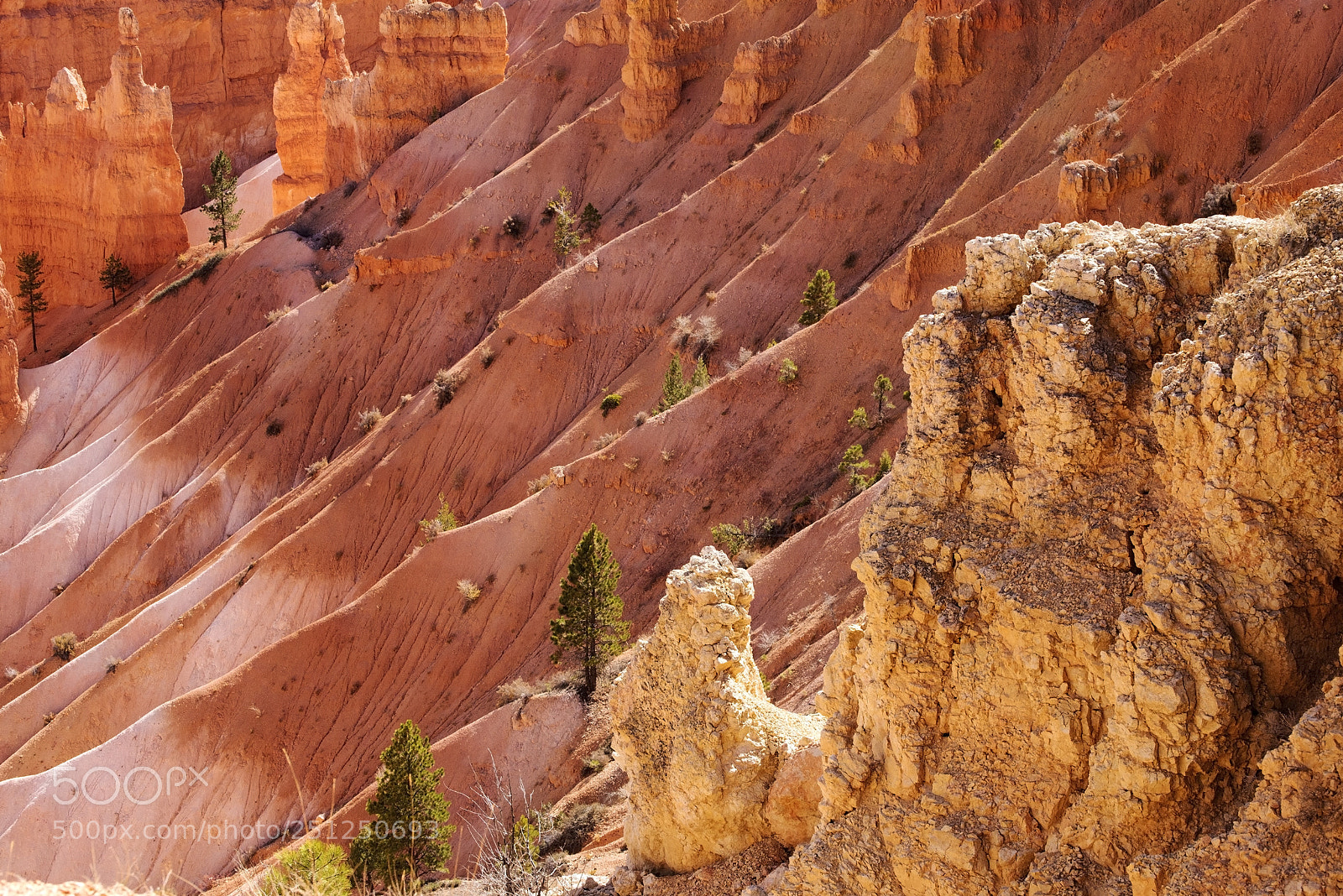 Nikon D600 sample photo. Some ridges (1) photography