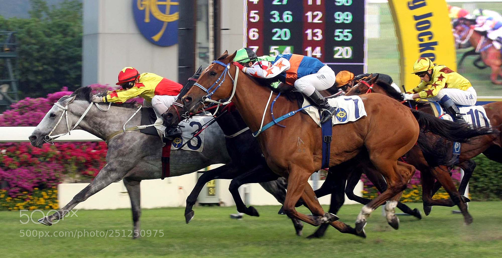 Canon EOS-1D Mark III sample photo. Effective strategies to bet photography