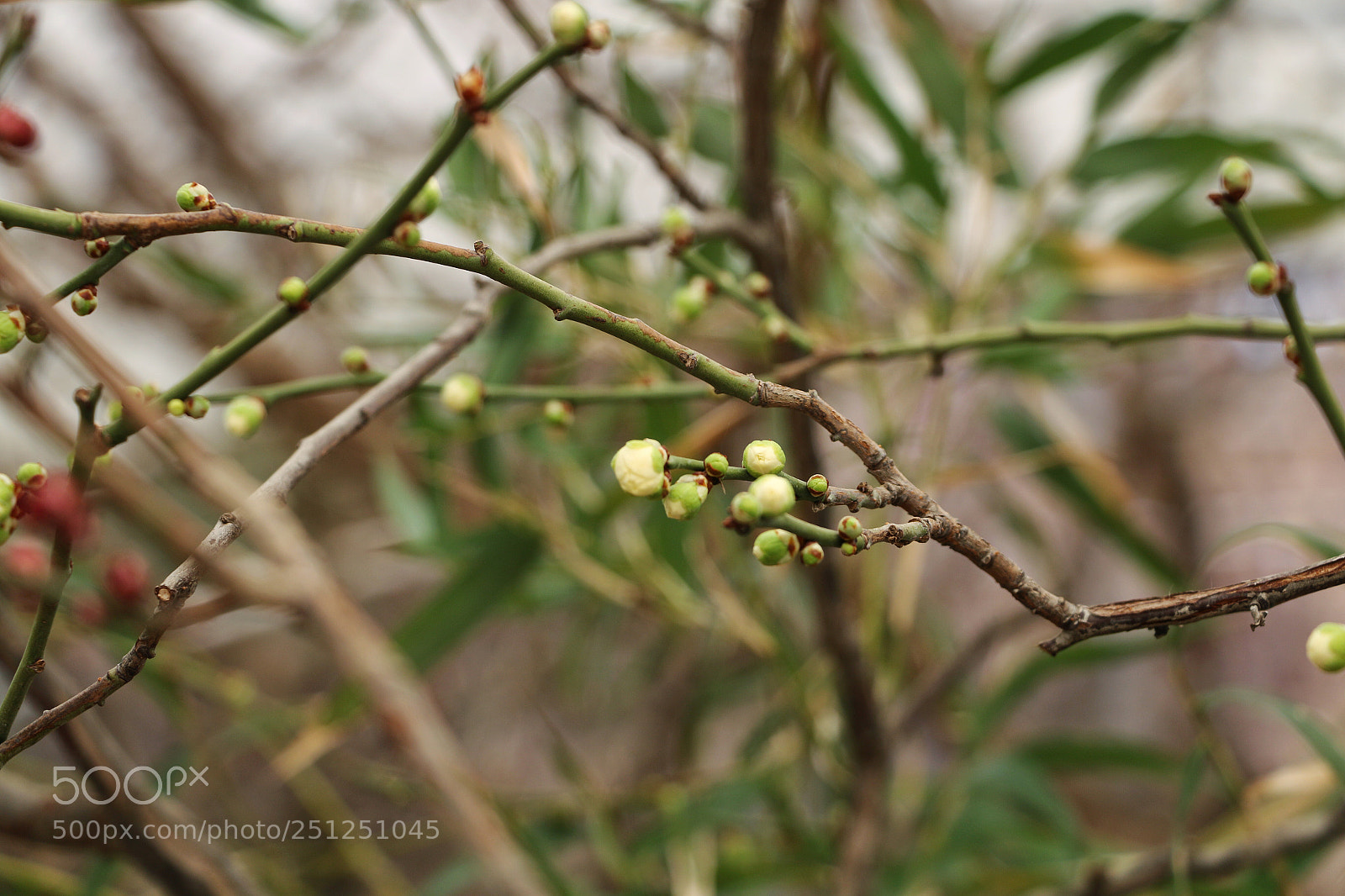 Canon EOS 70D sample photo. New branch photography