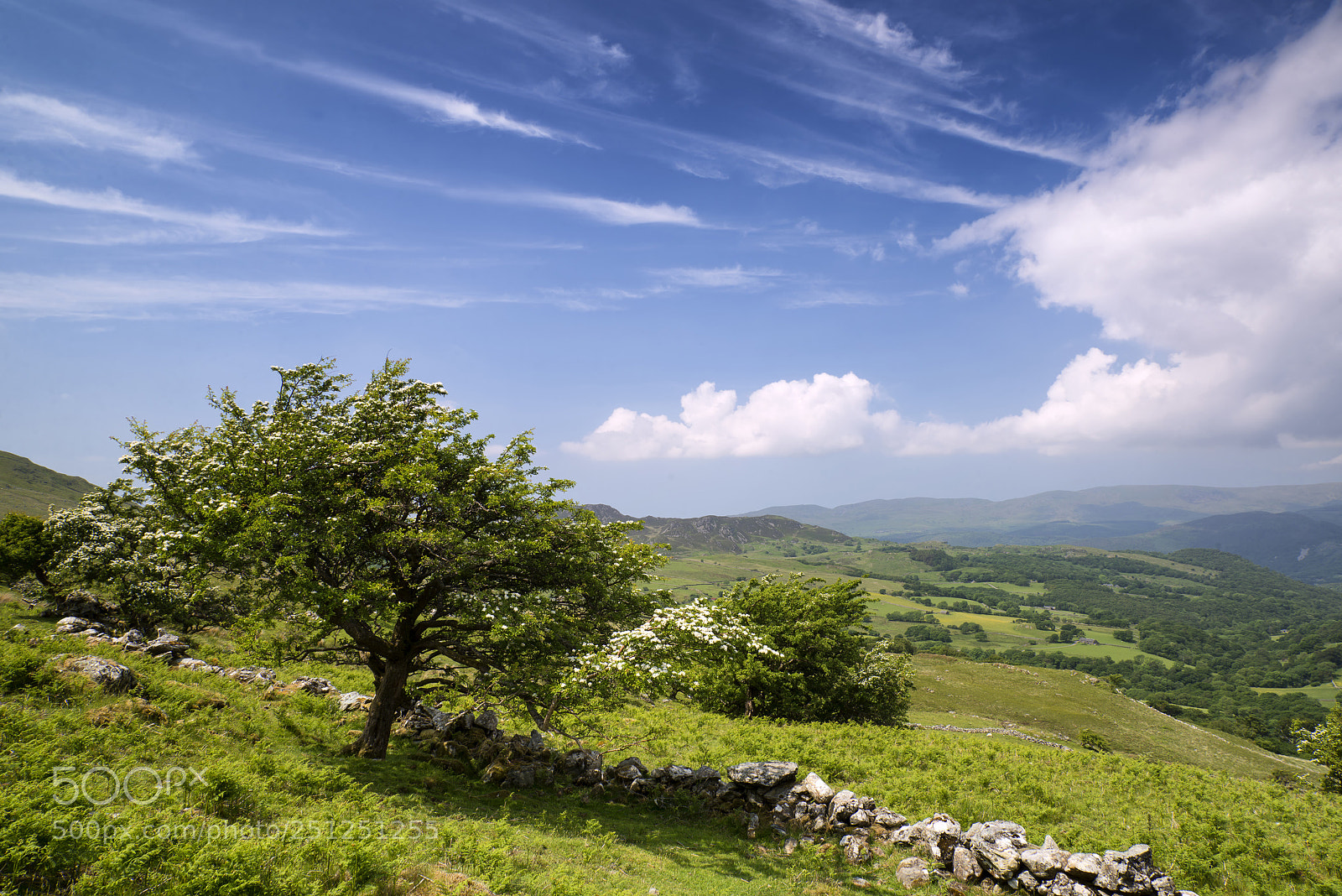 Nikon D600 sample photo. Landscape view from cadair photography