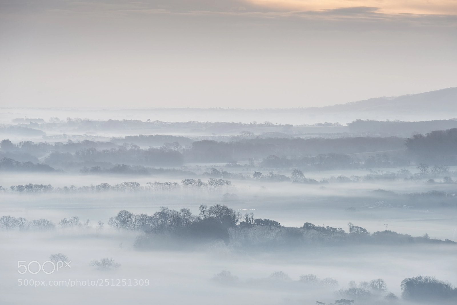 Nikon D800 sample photo. Stunning foggy english rural photography