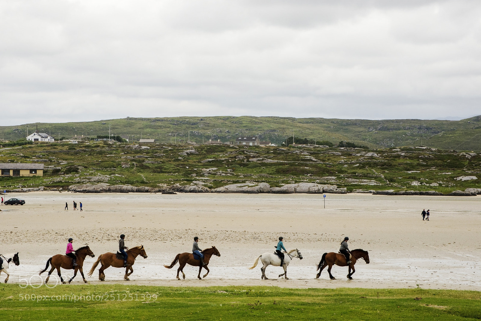 Nikon D600 sample photo. Trotting begins (1) photography