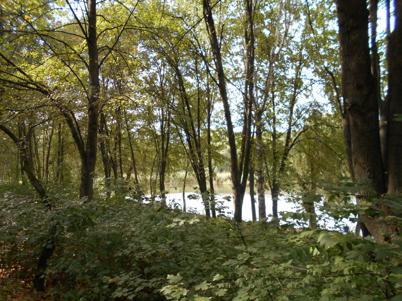 Nikon Coolpix A100 sample photo. E deccf orig photography