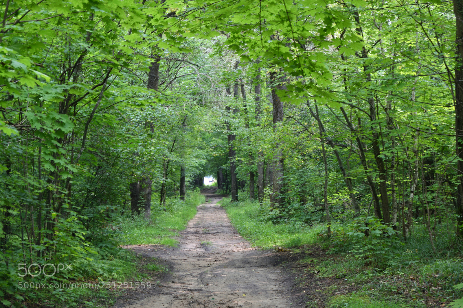 Nikon D3300 sample photo. Light at the end photography