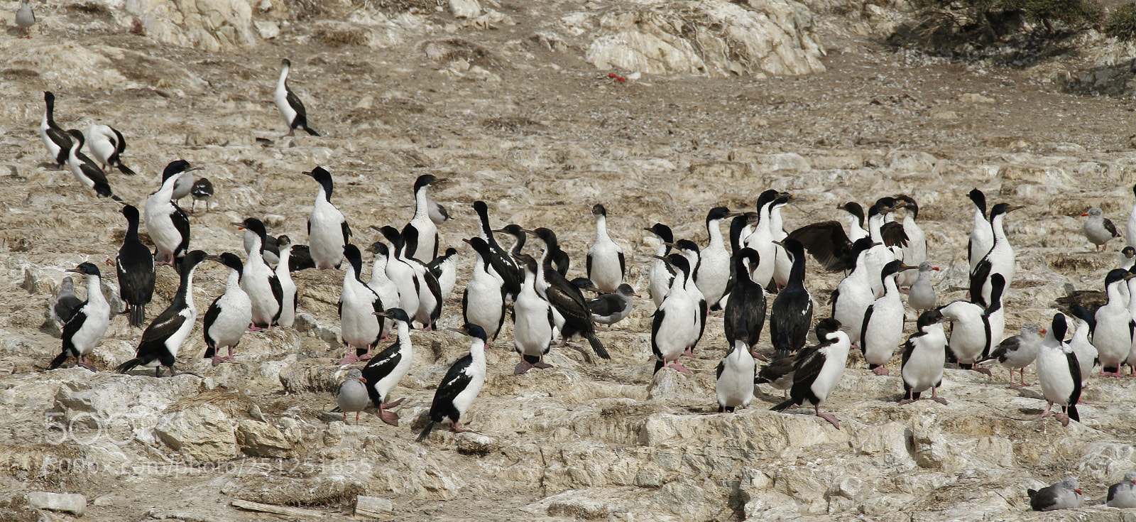 Canon EOS 7D sample photo. Isla de los p photography