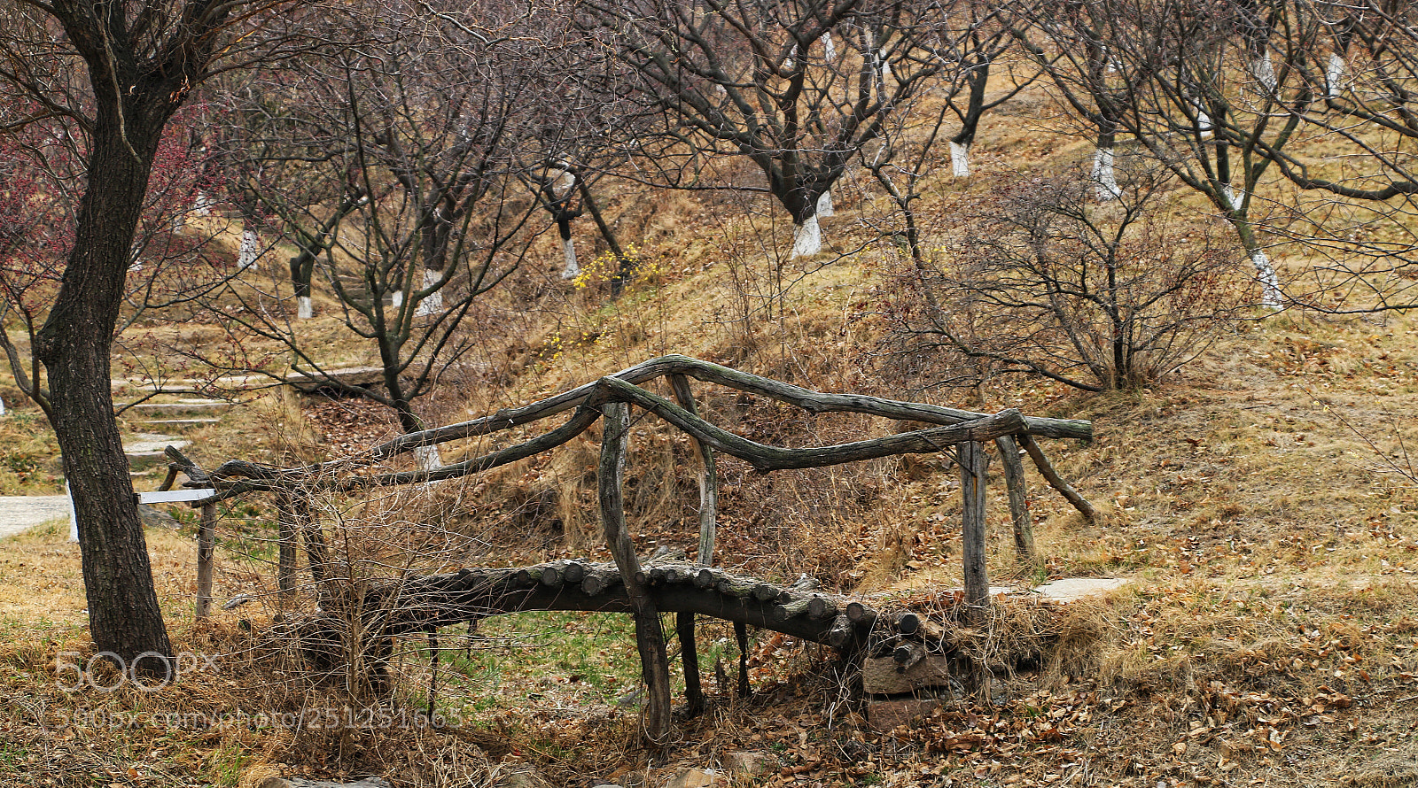 Canon EOS 70D sample photo. Wooden bridge photography