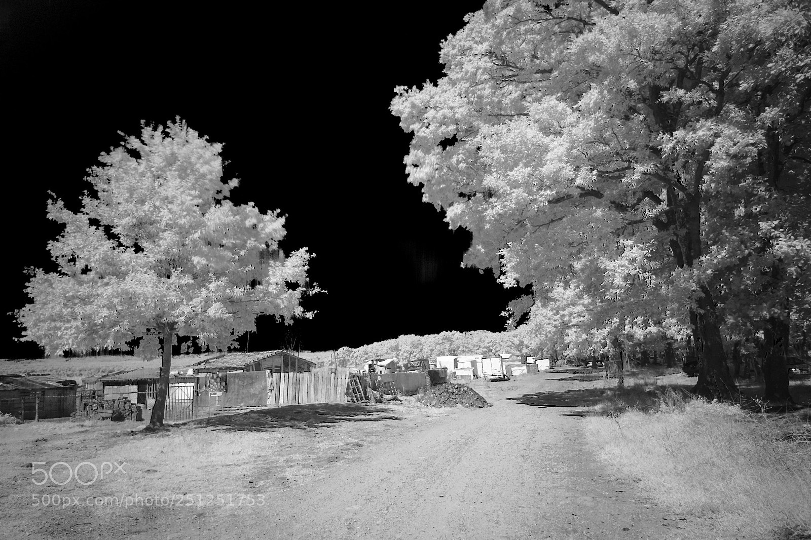 Sony a6000 sample photo. Dsc00822 photography