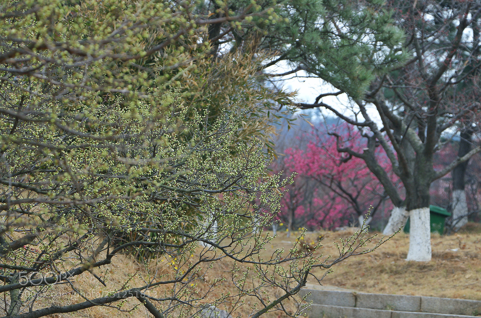 Canon EOS 70D sample photo. Qingdao shimeian photography