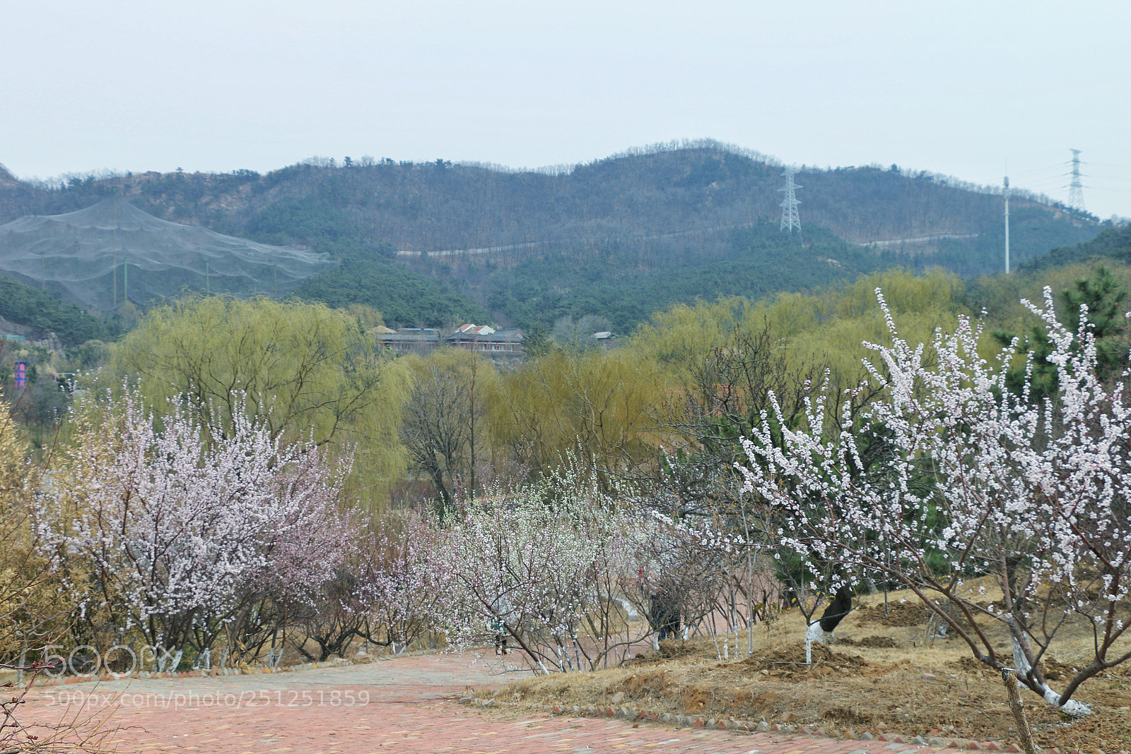 Canon EOS 70D sample photo. Spring photography