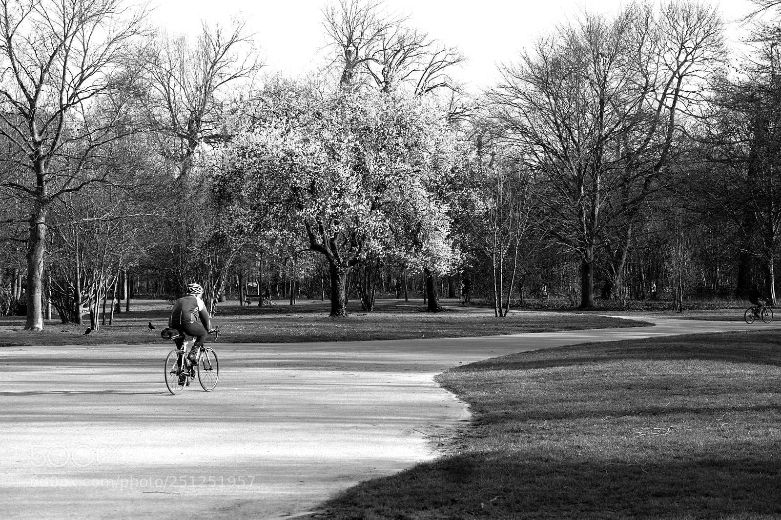 Fujifilm X-Pro2 sample photo. A bicyclette. photography