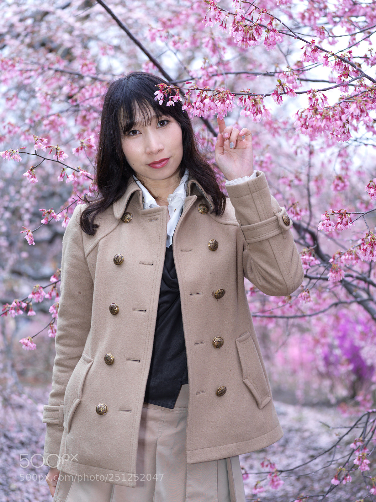 Hasselblad X1D-50c sample photo. Plum peach cherry tree photography