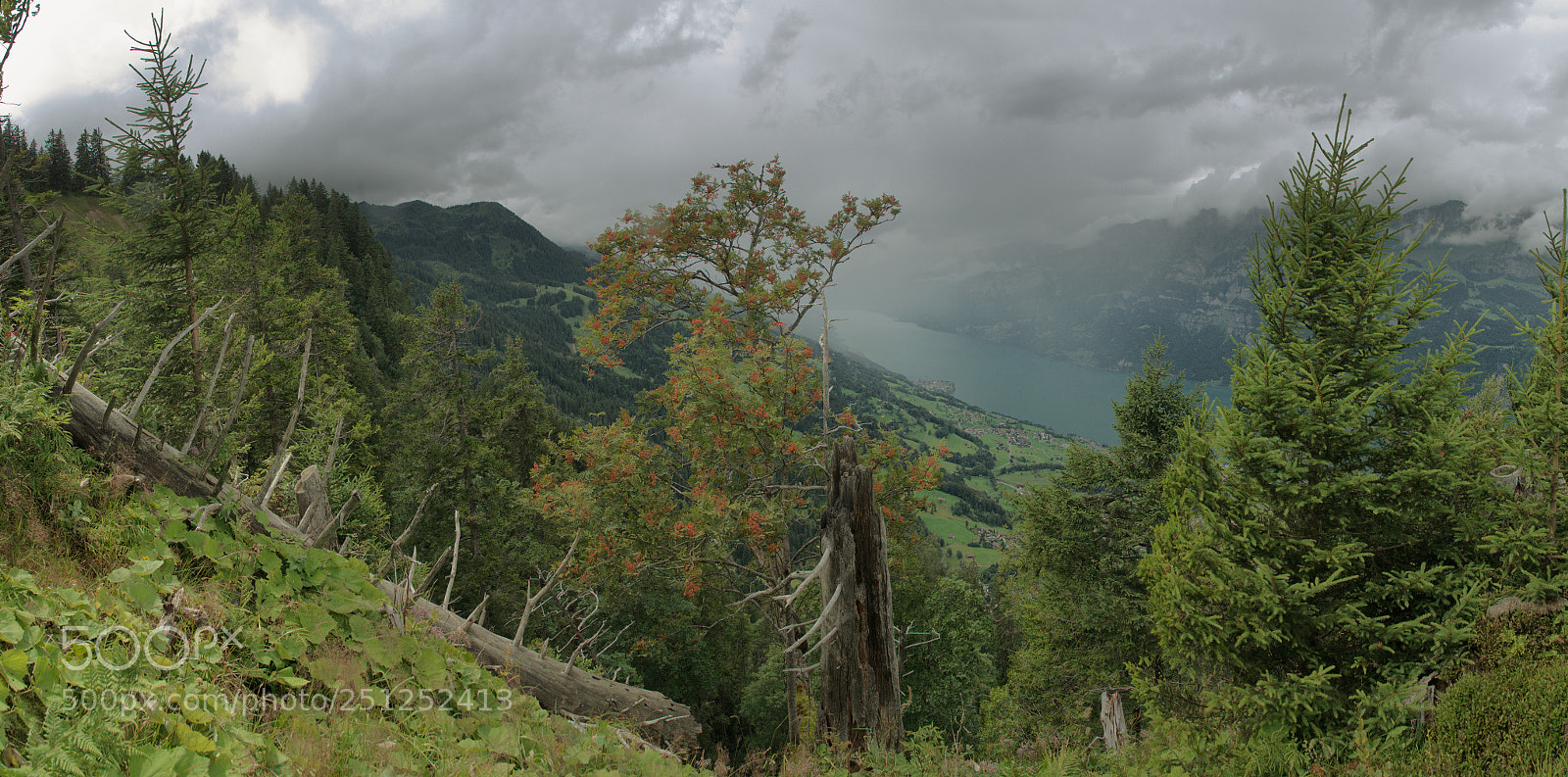 Nikon D300 sample photo. Walensee in cloud photography