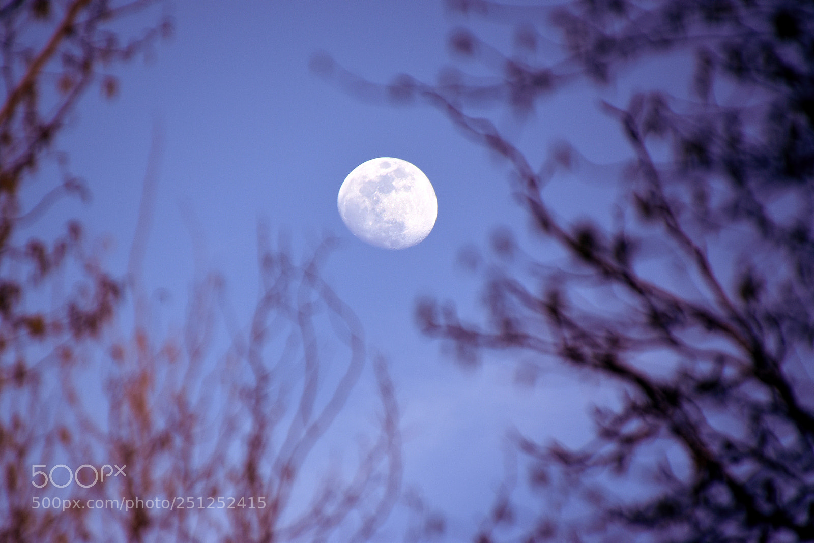 Nikon D5500 sample photo. Moon photography