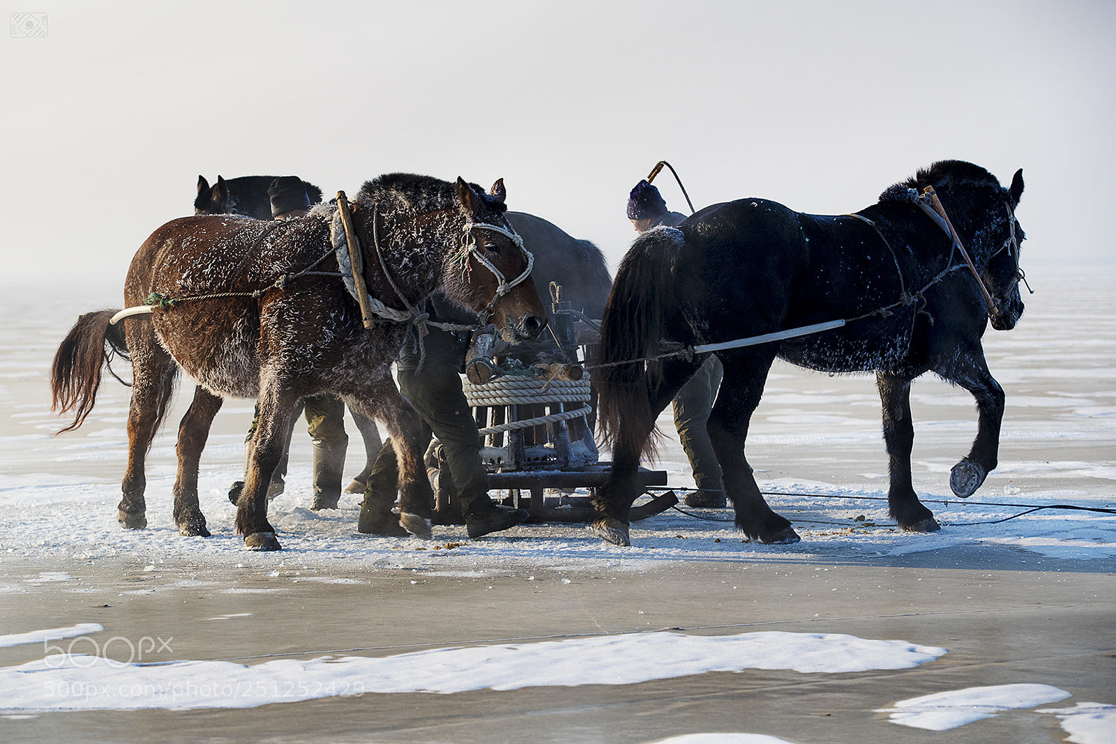 Canon EOS-1D X Mark II sample photo. Fishing in winter photography