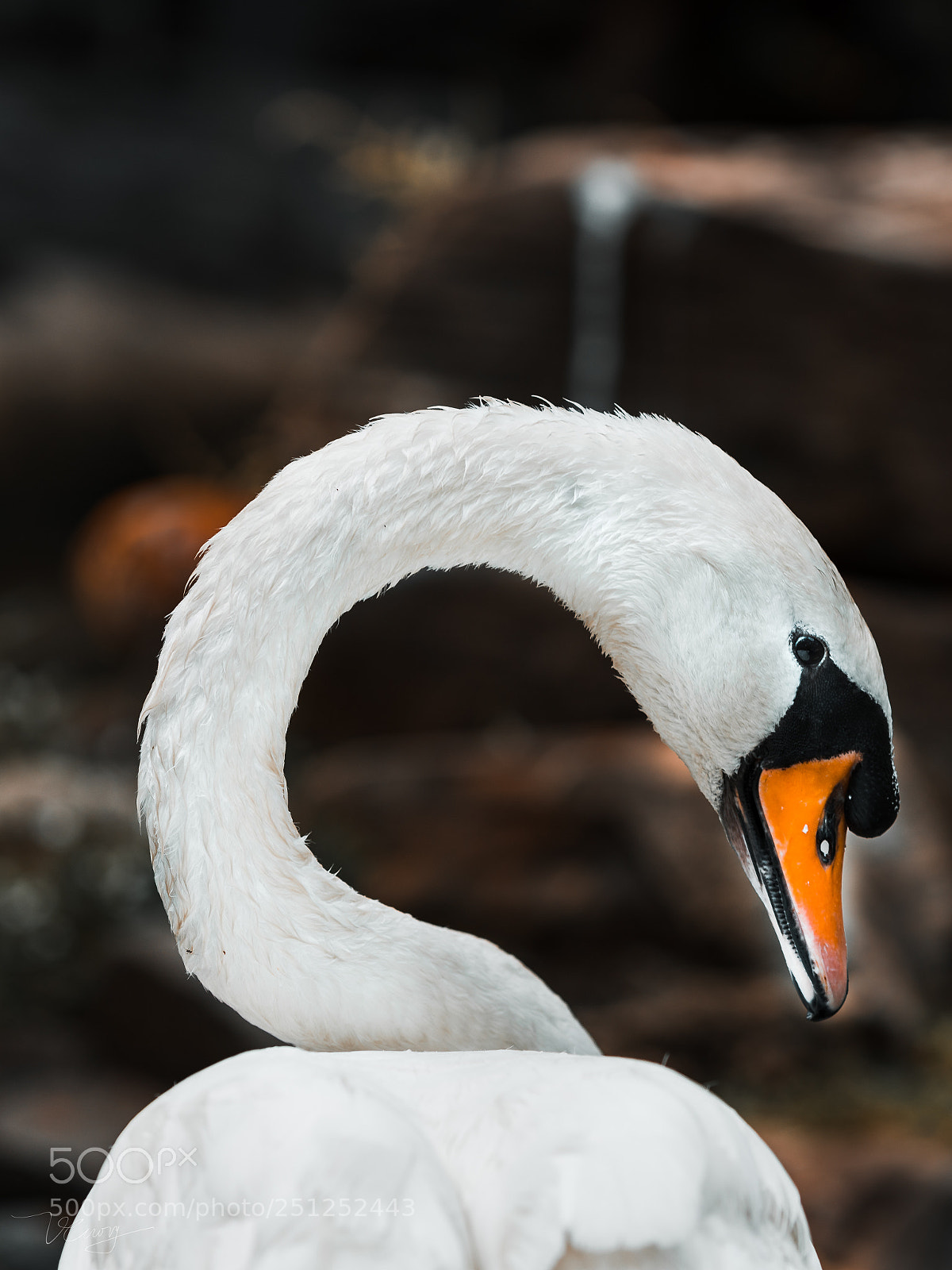 Sony a7R III sample photo. _dsc9975-3.jpg photography
