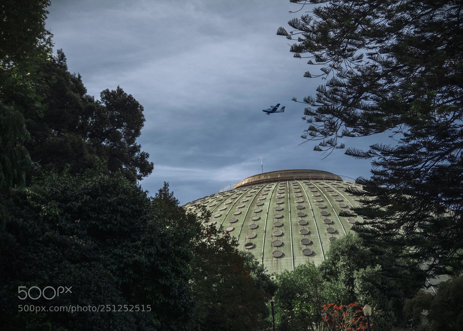 Nikon D7100 sample photo. Crystal palace photography