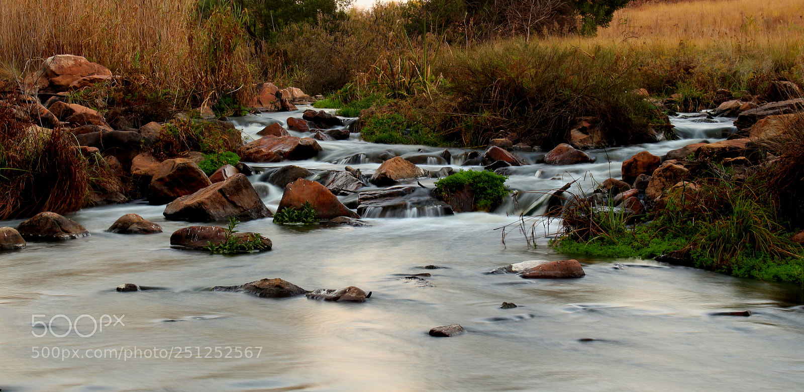 Canon EOS 650D (EOS Rebel T4i / EOS Kiss X6i) sample photo. Rustle and flow photography