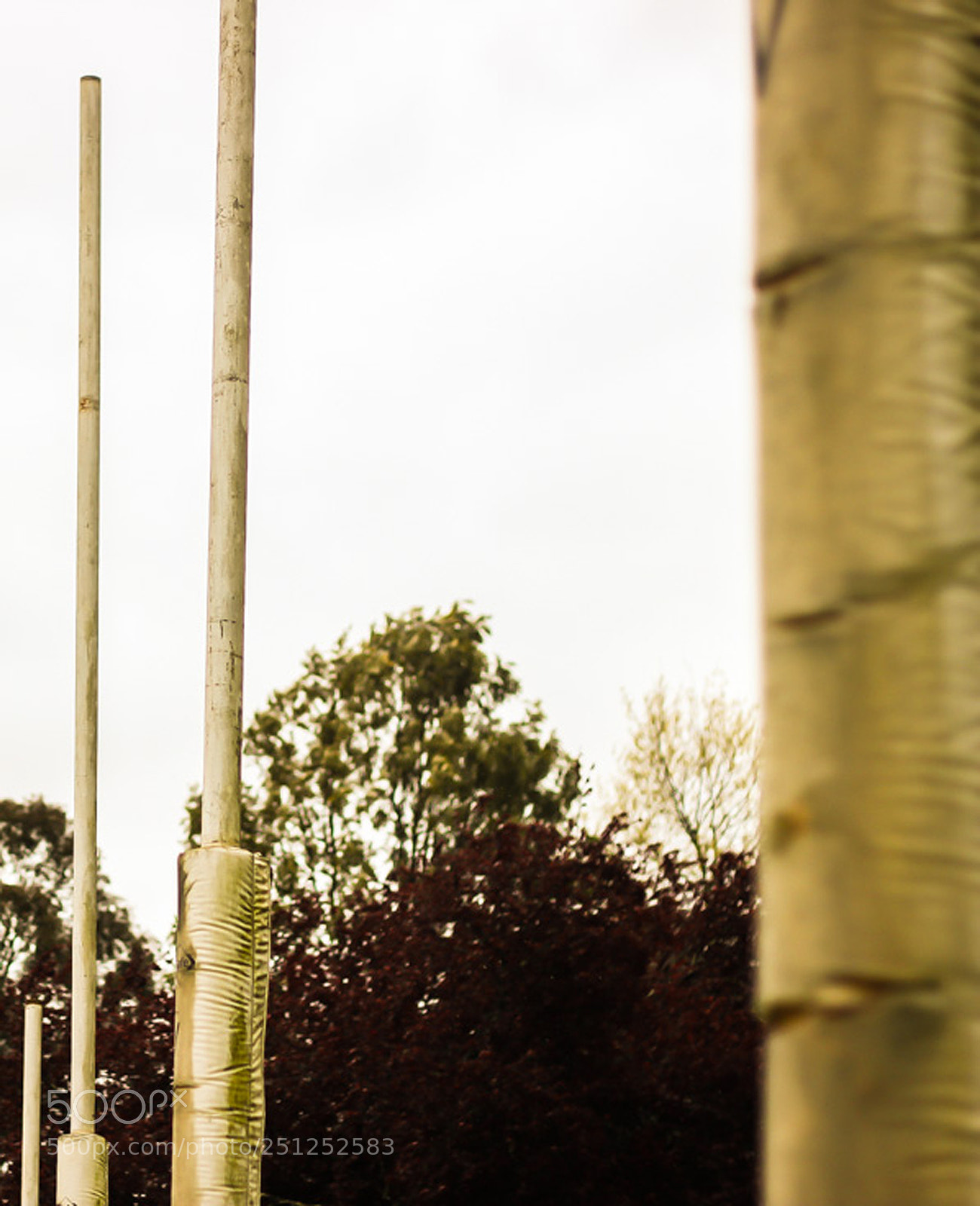 Canon EOS 600D (Rebel EOS T3i / EOS Kiss X5) sample photo. Australian rules football goal photography