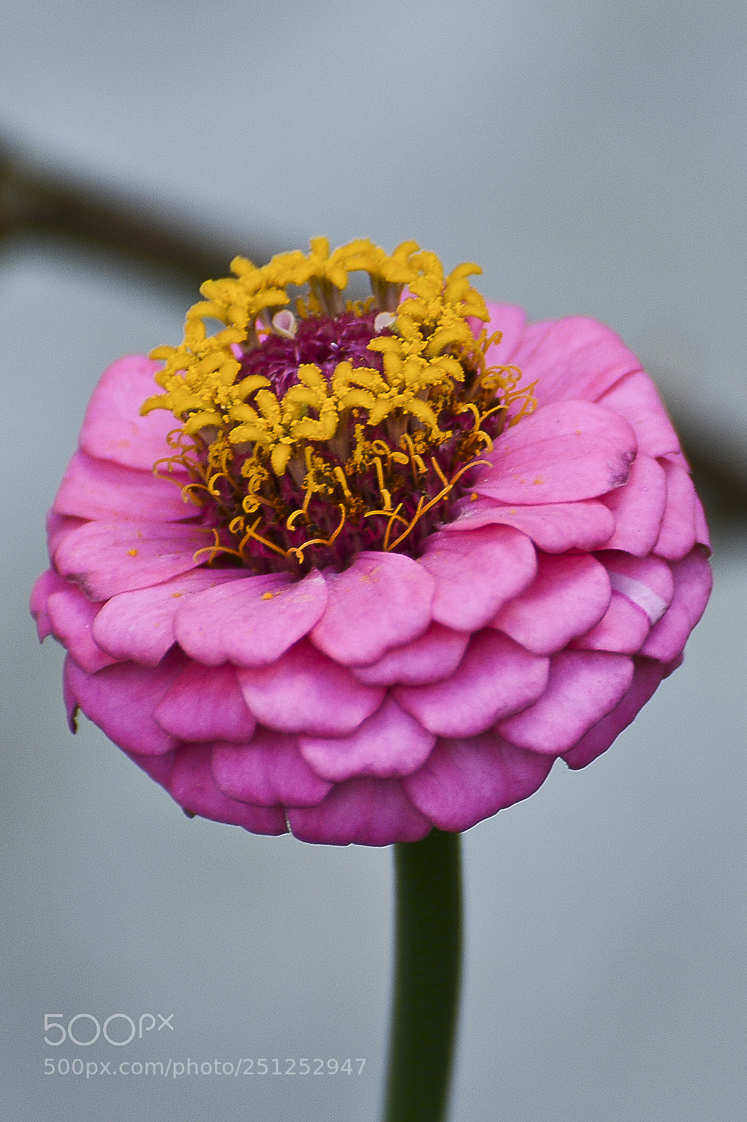 Nikon D7100 sample photo. Natureza magestosa. photography