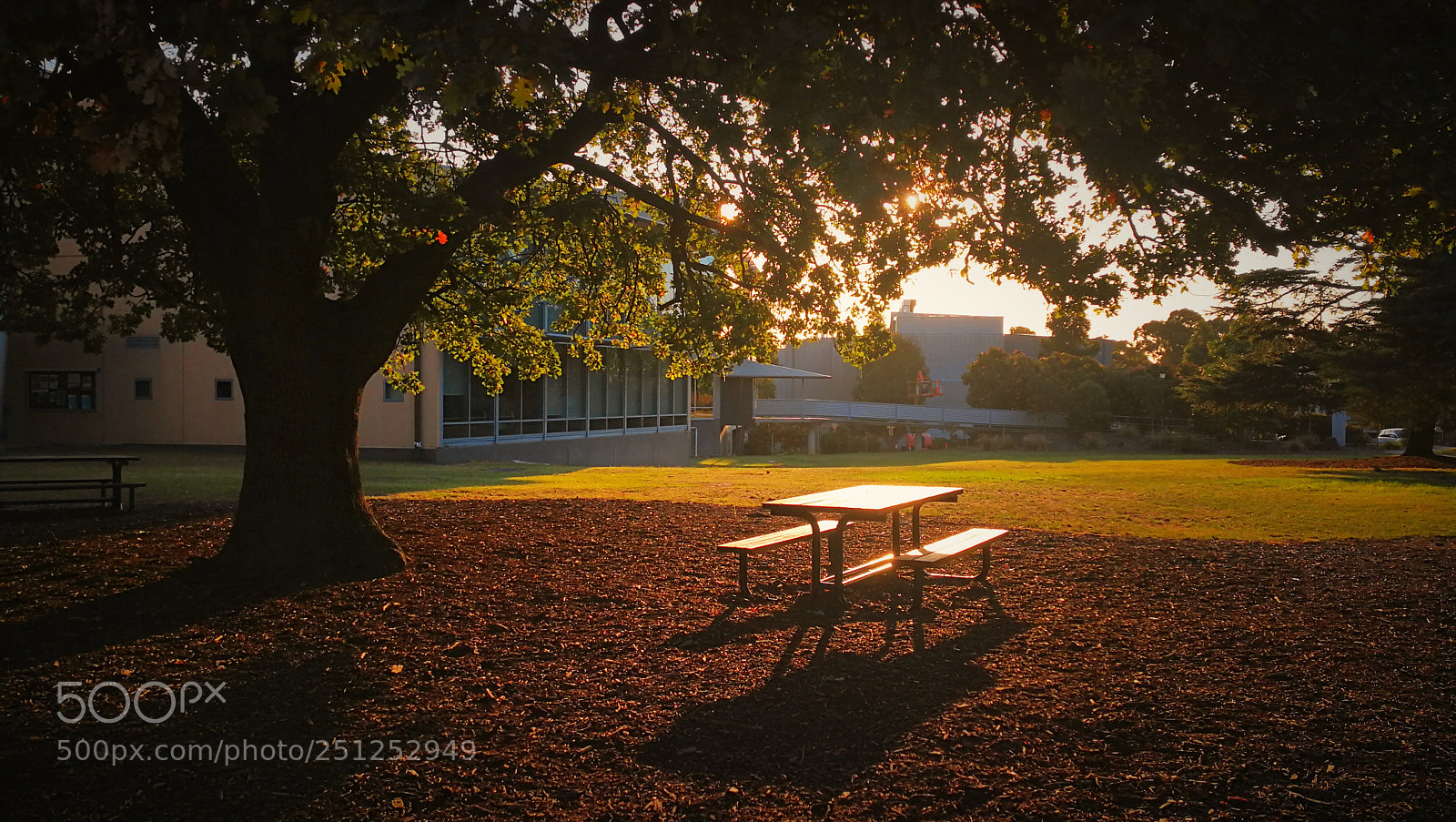 HUAWEI P10 sample photo. Autumn photography