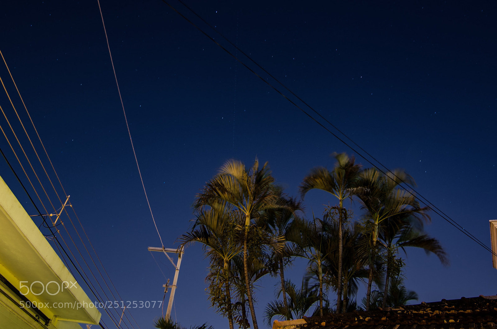 Nikon D5100 sample photo. Night wire photography