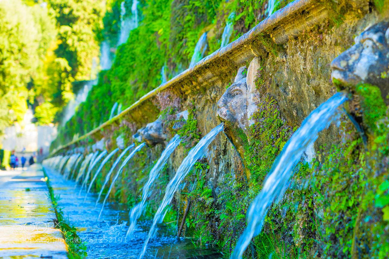 Sony a7 sample photo. Awesome water gardens at photography